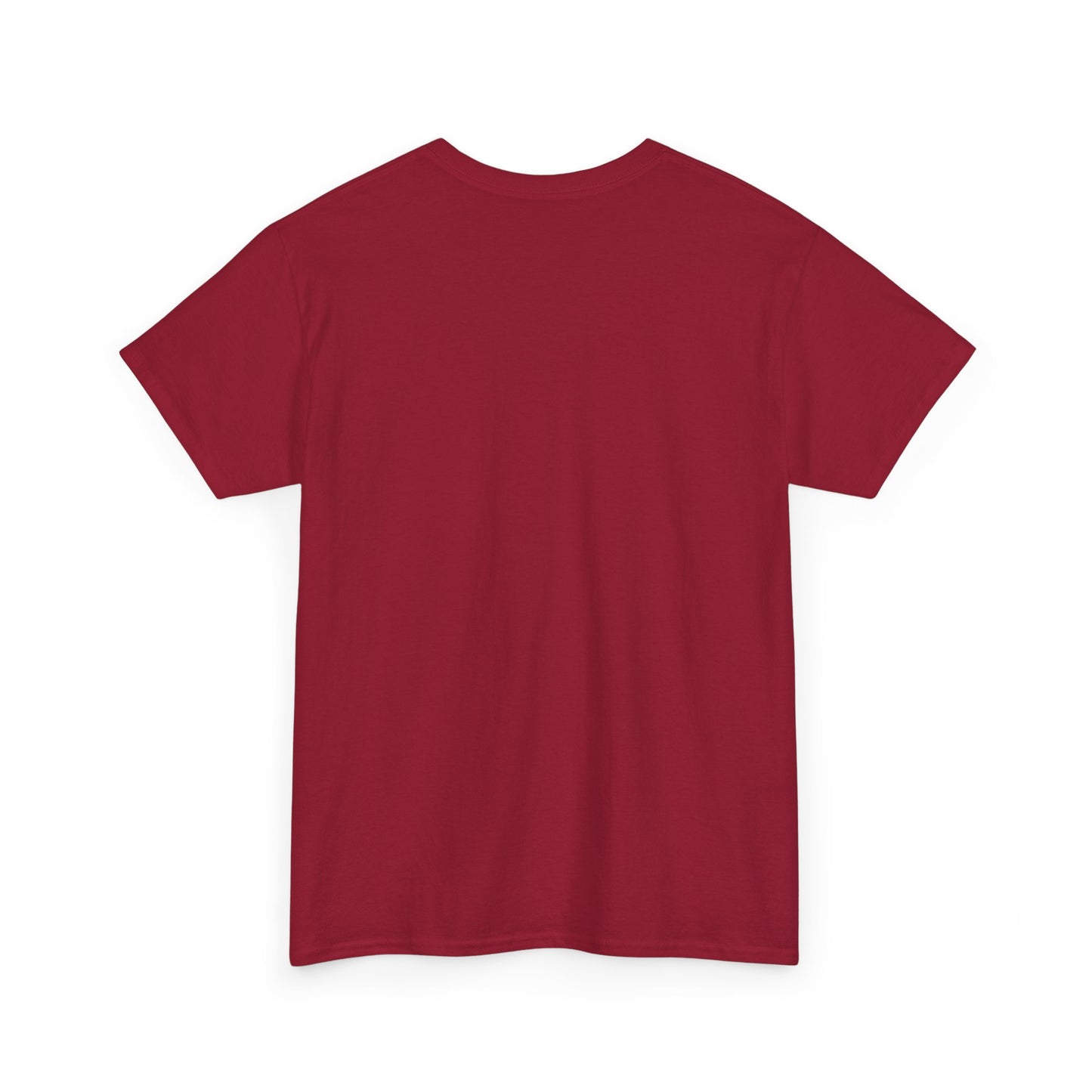 If at first you don't succeed SS Unisex Tee Shirt AZ24-026